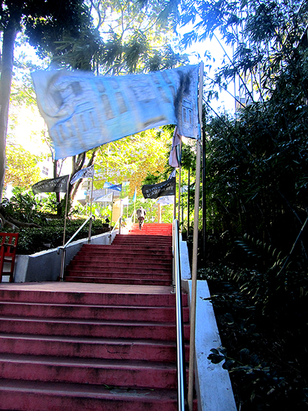 Brave New Worlds Blue Doors Flag