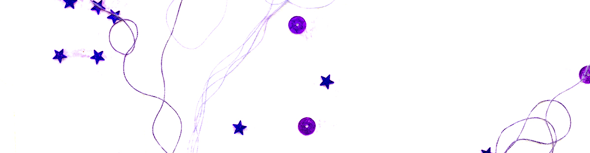 Shortlist – Thomas Shapcott Poetry Prize, 2015